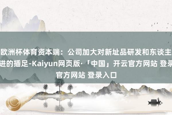欧洲杯体育资本端：公司加大对新址品研发和东谈主才引进的插足-Kaiyun网页版·「中国」开云官方网站 登录入口